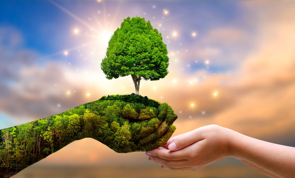 "Environment