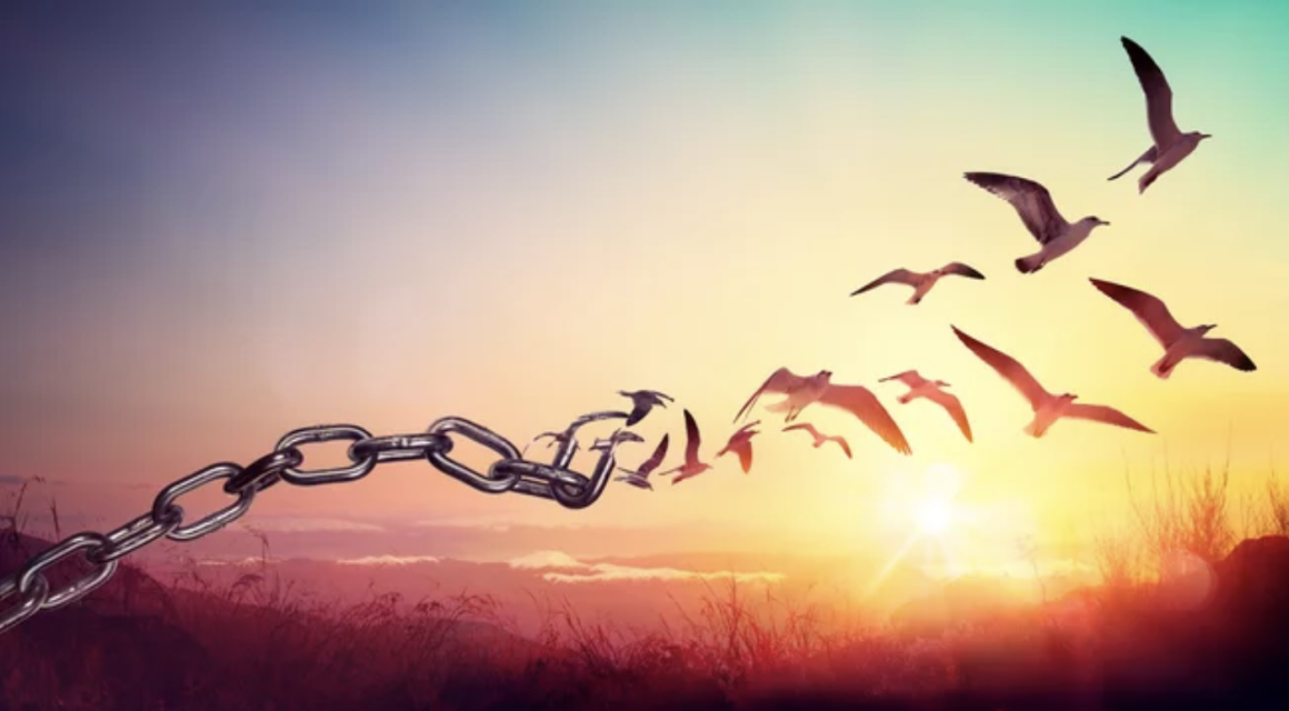 "Free"/